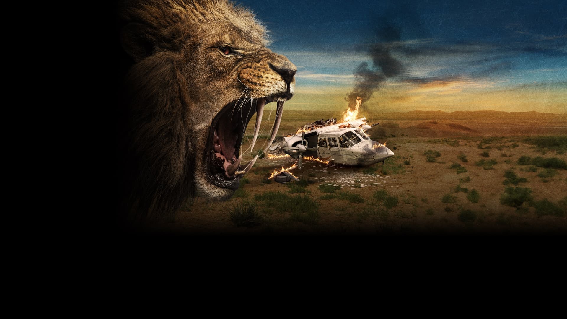 back-drop of movie